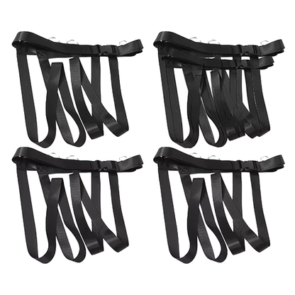 Bed restraint with whip and blindfold