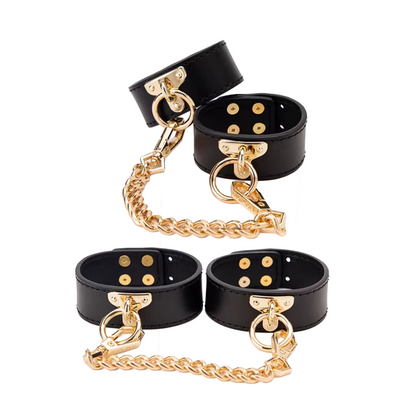 Ensemble domination féline