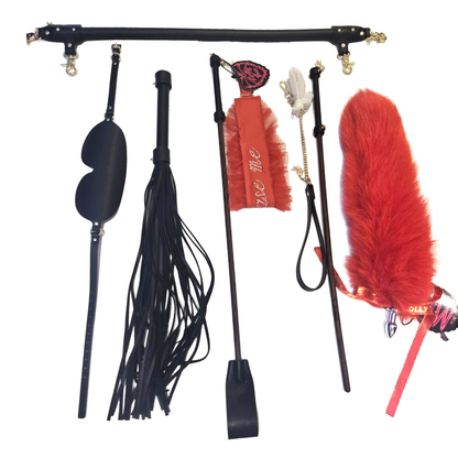 Ensemble BDSM complet avec coffret à combinaison