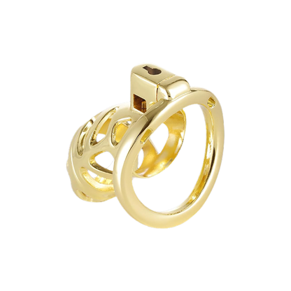 Cage de chasteté Savage