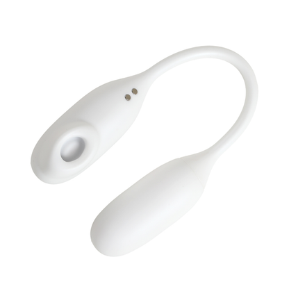 Vibrateur bullet 2 en 1  Wanderlust