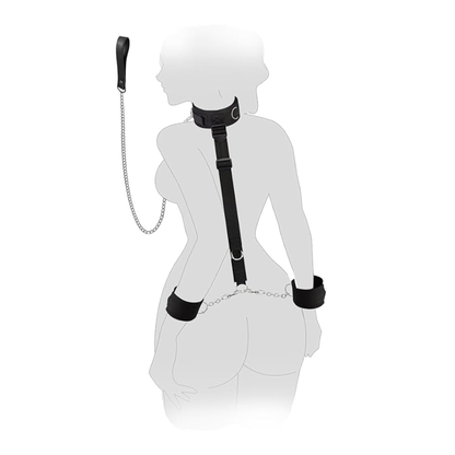 Sangle de positionnement avec restrictions, laisse et bandeau