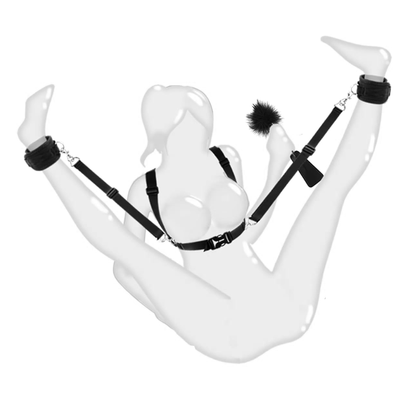 Harnais et sangles de positionnement avec cravache à plume