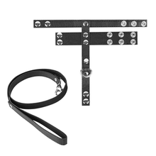 Sangle BDSM style anneau pénien et laisse