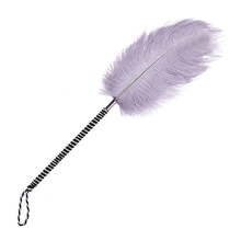 Chatouilleur érotique plume d'autruche