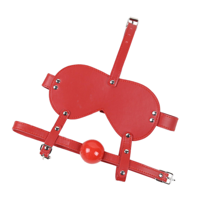 Masque 2 en 1 avec bâillon