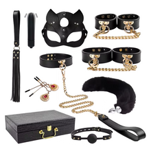 Ensemble domination féline