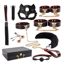 Ensemble domination féline