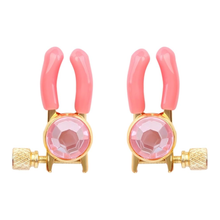 Pinces à mamelons ornées