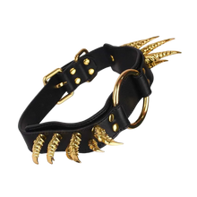 Collier griffes de créature