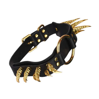 Collier griffes de créature