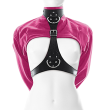 BDSM restraint harness