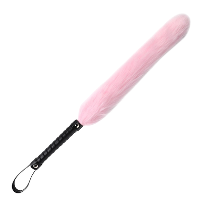 Chatouilleur queue de renard